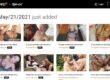 Pornstars At Home (pornstarsathome.com) Reviews